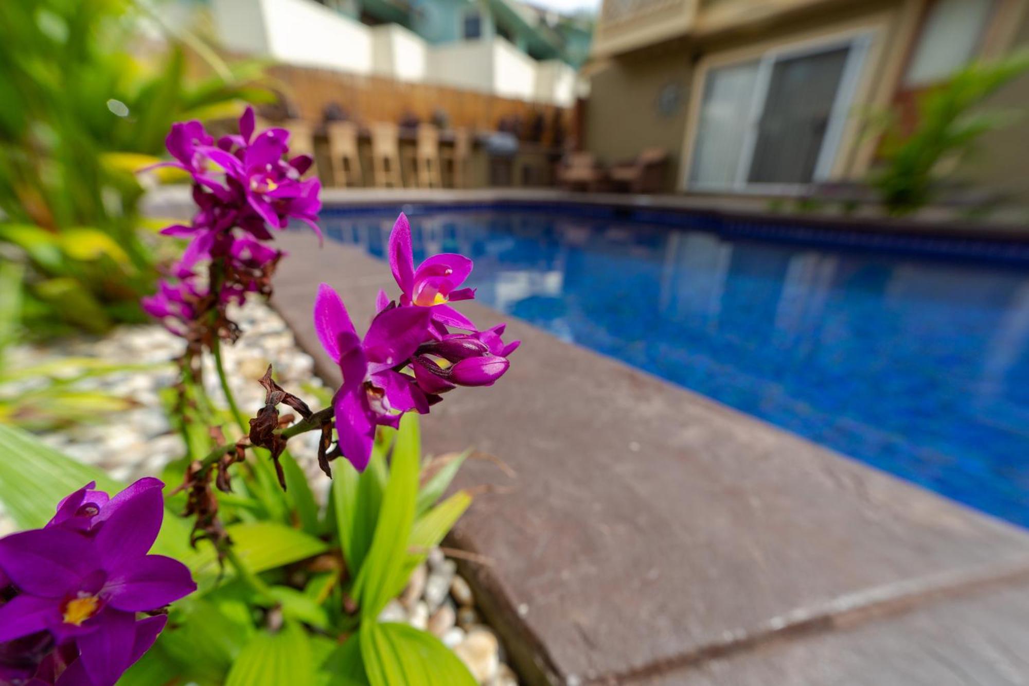 Plumeria Suite, 2-Bedrooms, Sleeps 6, Pool & Bbq, Pre-Renovation Summer Sale Kihei Exteriér fotografie