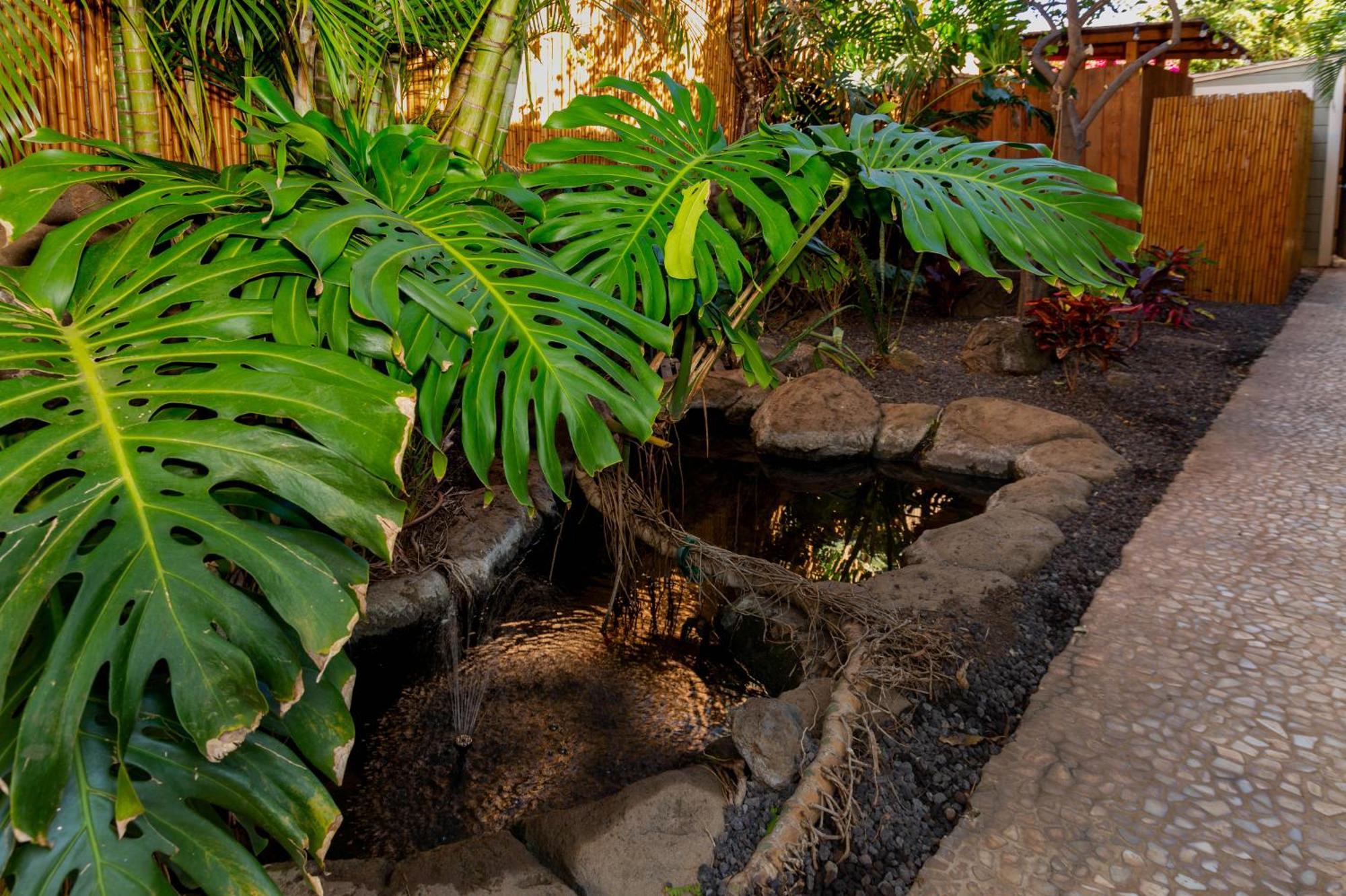 Plumeria Suite, 2-Bedrooms, Sleeps 6, Pool & Bbq, Pre-Renovation Summer Sale Kihei Exteriér fotografie